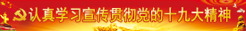认真学习贯彻党的十九大精神